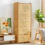 Modern Accent Cabinet with Rattan Doors