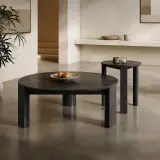 Solid Wood Wabi-sabi Coffee Table Set