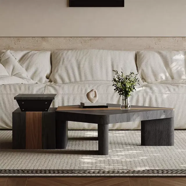 Minimalist Geometric Coffee Table Set